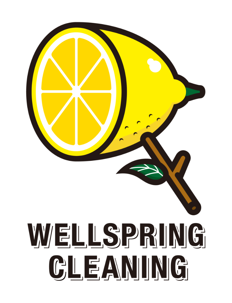 WELLSPRING CLEANING