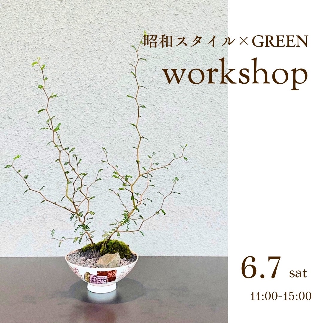 昭和スタイル×GREEN